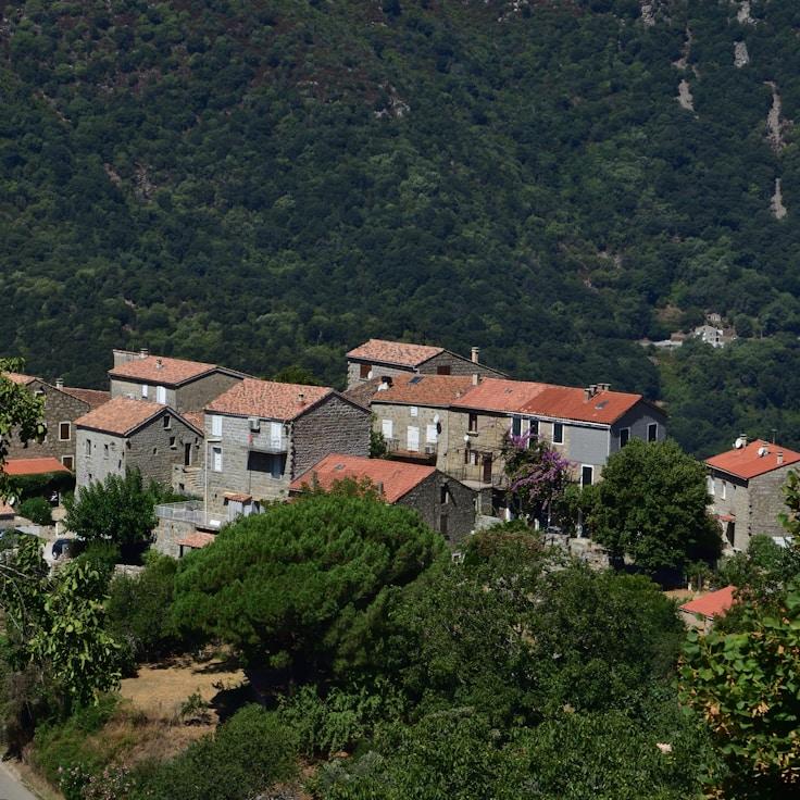Family terraces and cafés for calm evenings in Amsterdam